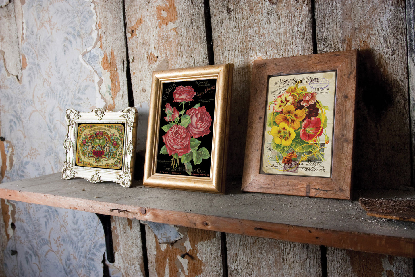 Ephemeral Melange- IOD Transfer