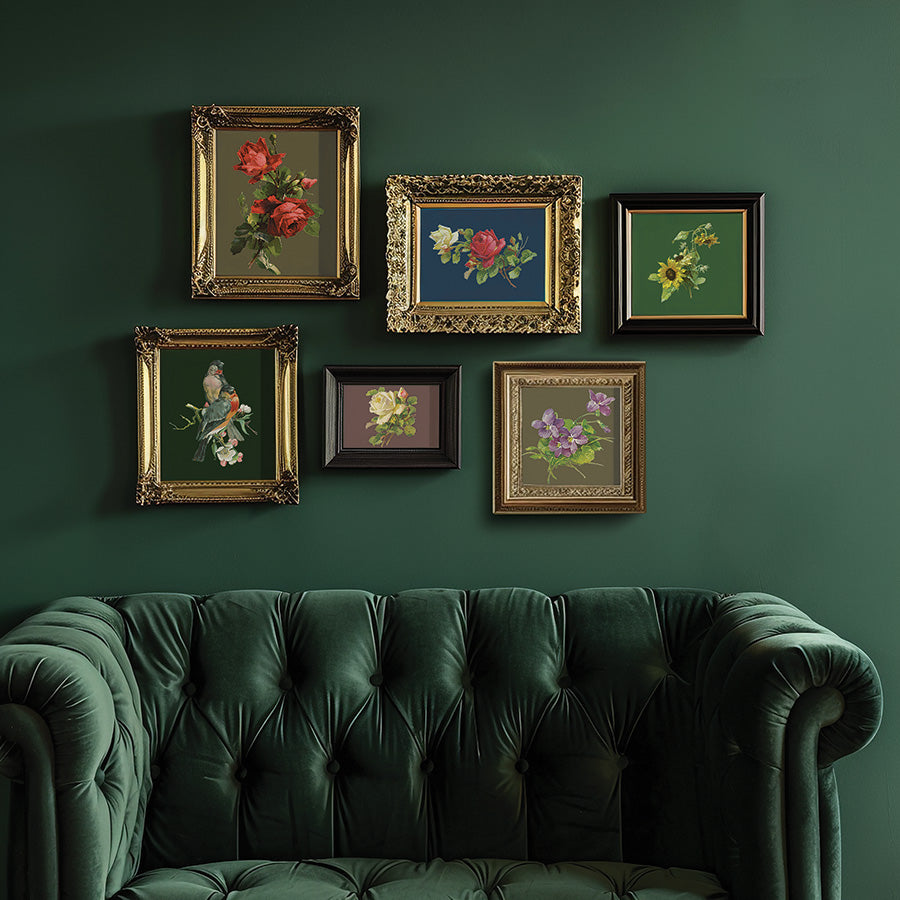 Catharina - IOD Transfer