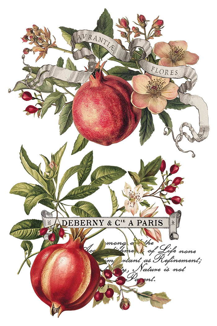 Clementine - IOD Decor Transfer 8x12- 2025 Holiday