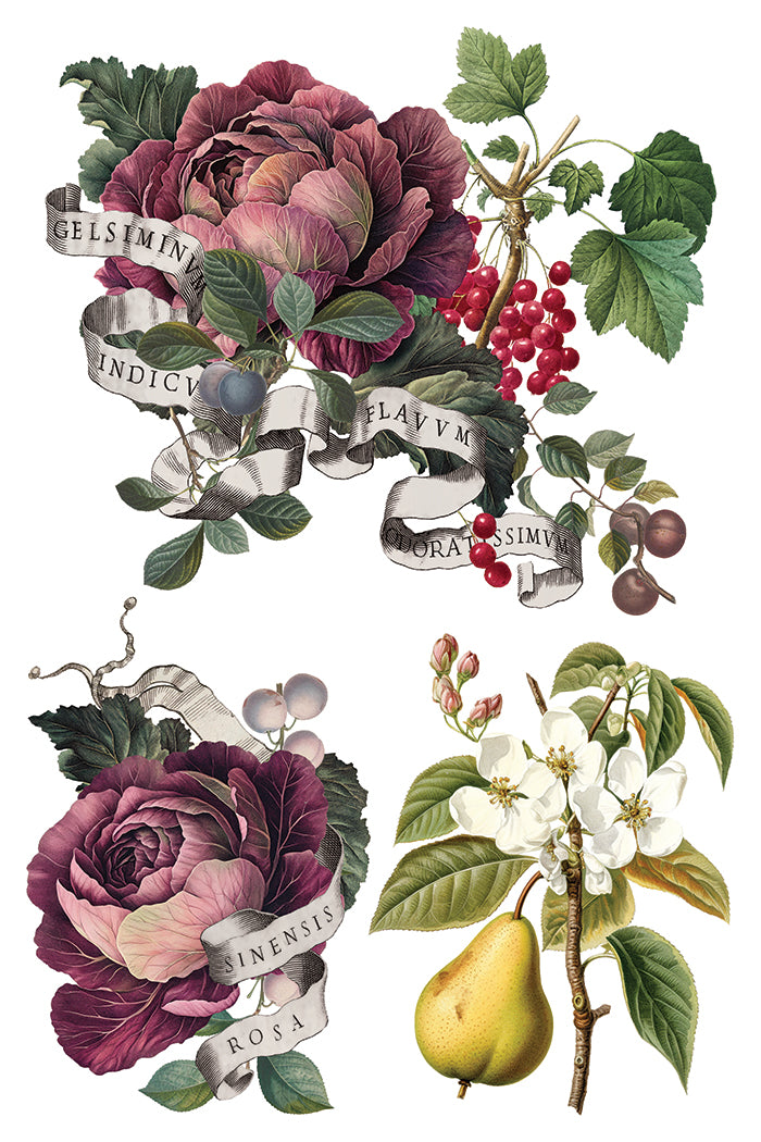 Clementine - IOD Decor Transfer 8x12- 2025 Holiday
