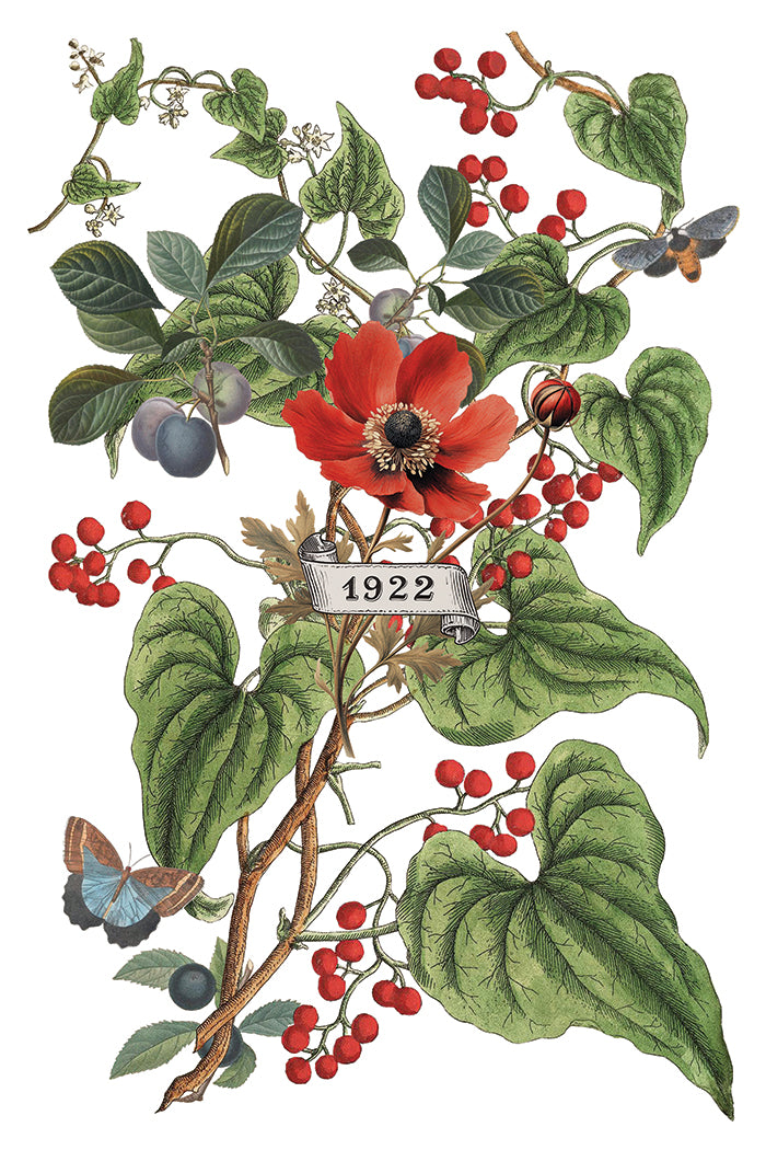 Clementine - IOD Decor Transfer 8x12- 2025 Holiday