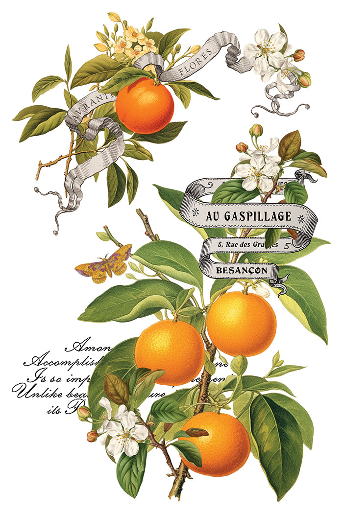 Clementine - IOD Decor Transfer 8x12- 2025 Holiday