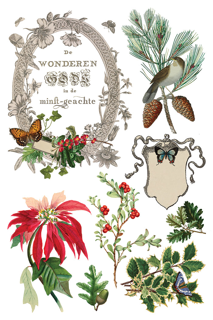 Winter Botonist - IOD Decor Transfer 8x12- 2025 Holiday
