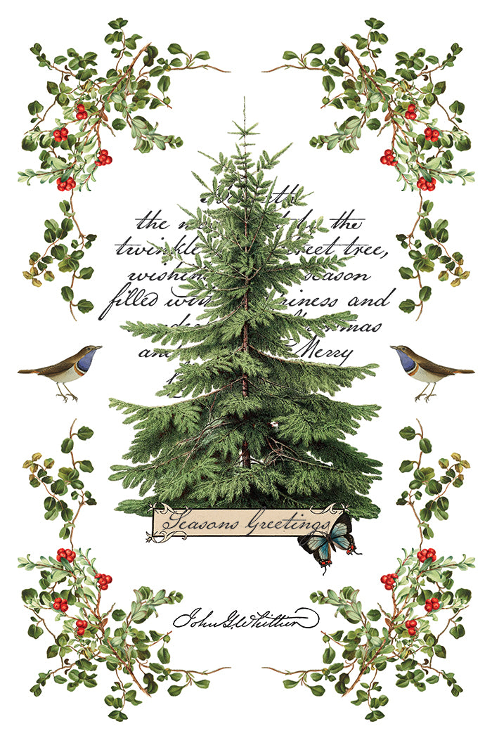 Winter Botonist - IOD Decor Transfer 8x12- 2025 Holiday