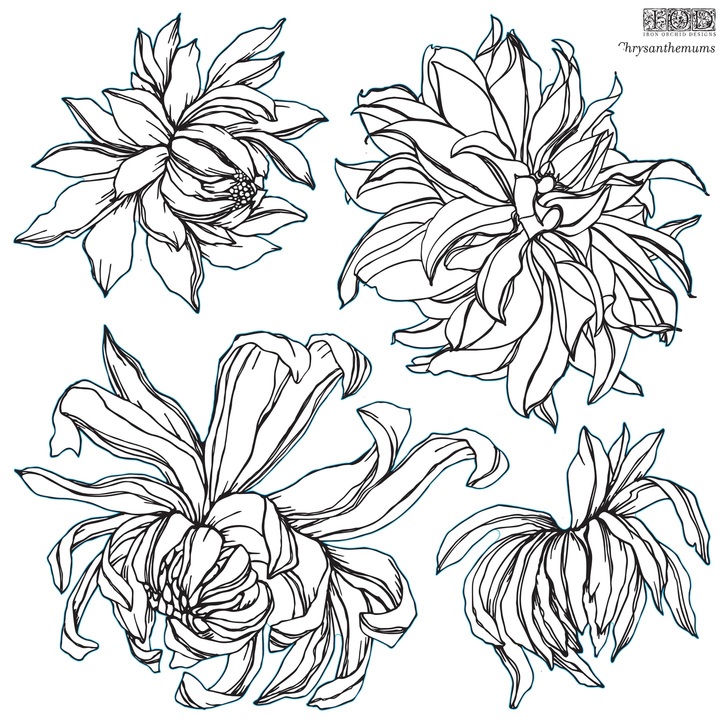 Chrysanthemum - IOD Decor Stamp (Retired Nov 2024)