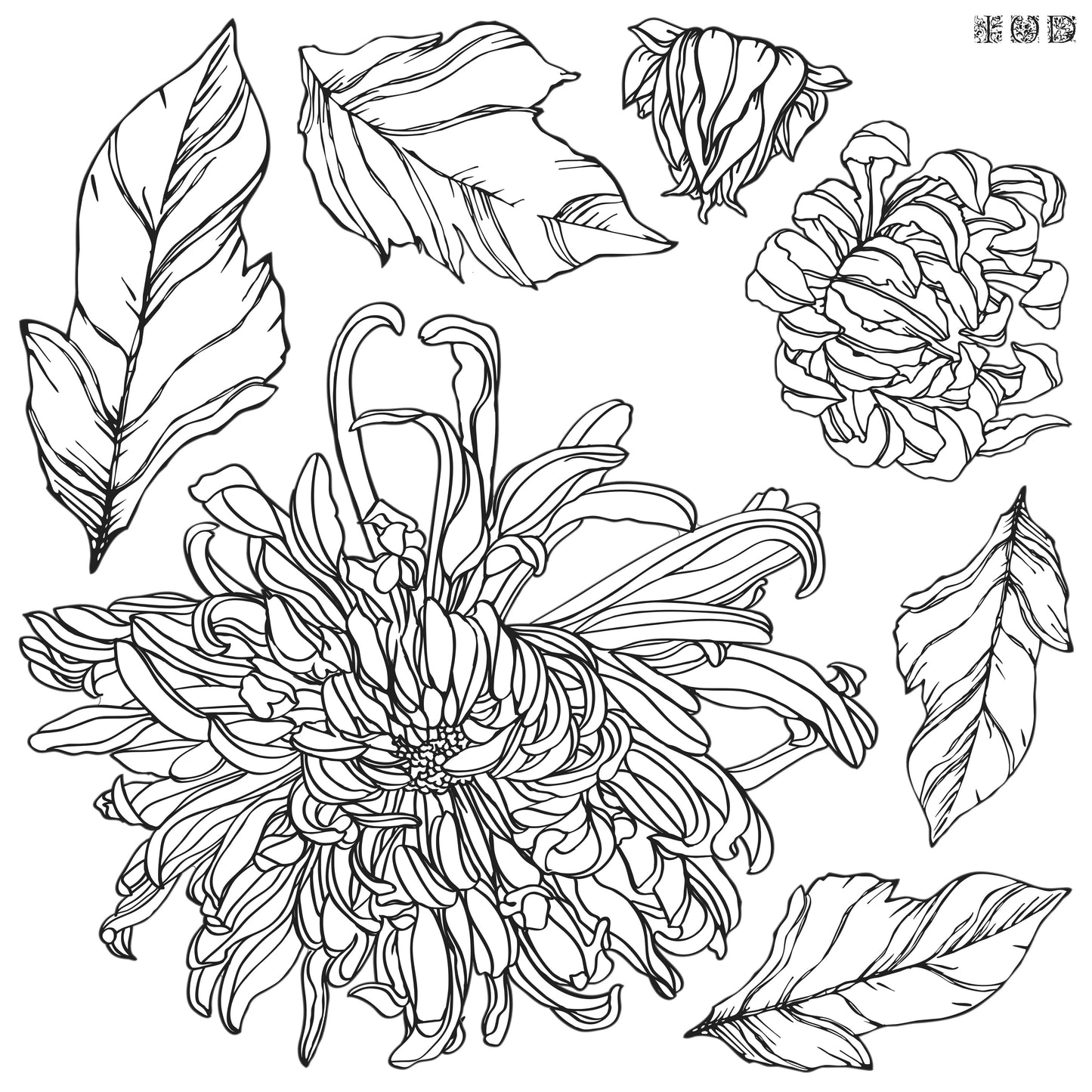 Chrysanthemum - IOD Decor Stamp (Retired Nov 2024)