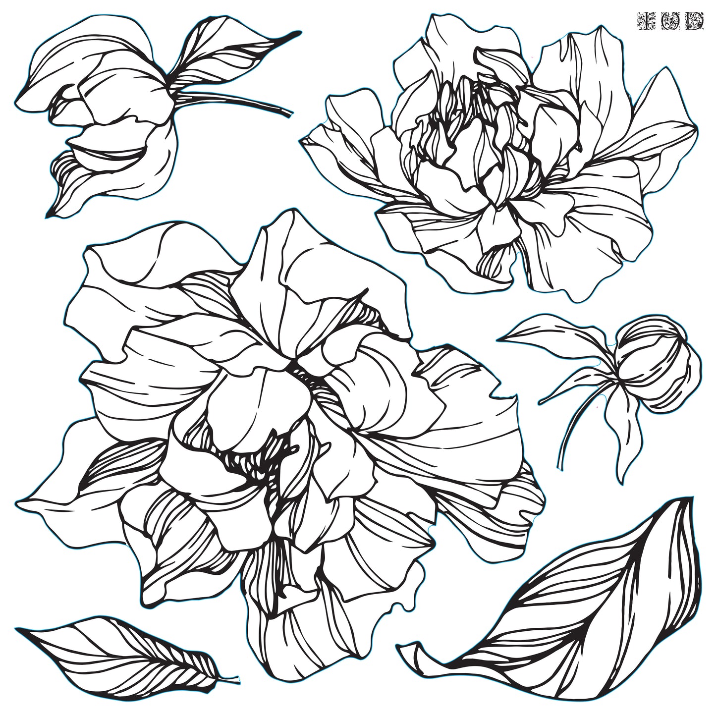 Peonies - IOD Decor Stamp