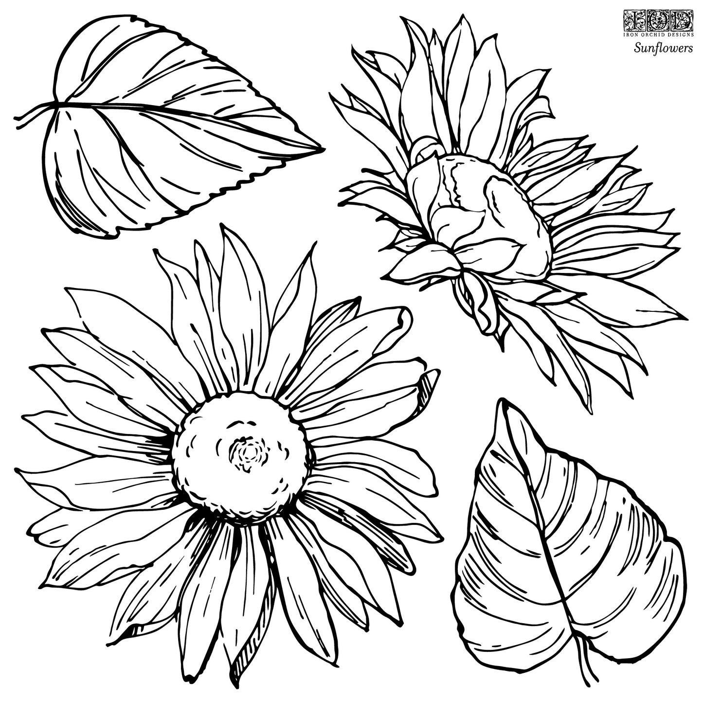 Sunflowers 12x12 IOD Stamp