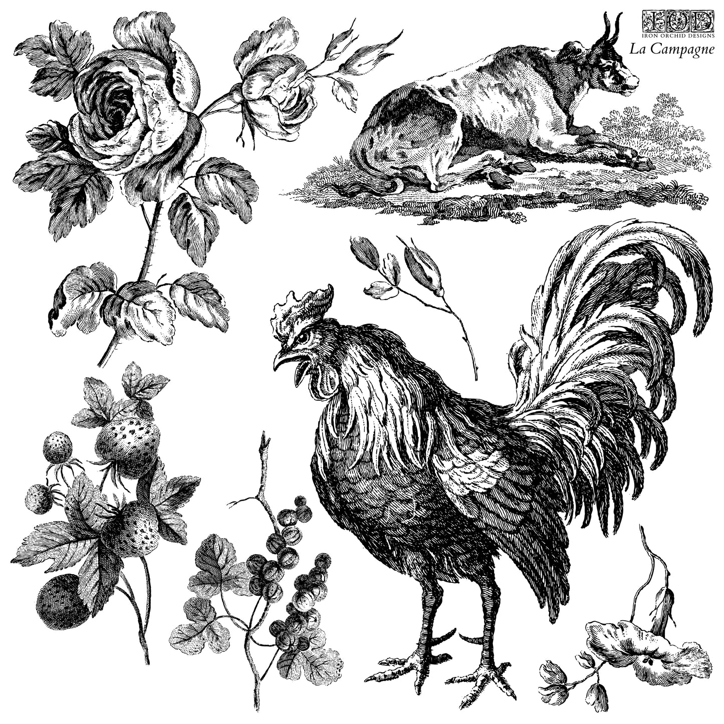 La Campagne - IOD Decor Stamp