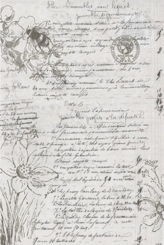 Natural History - Roycycled Decoupage Paper