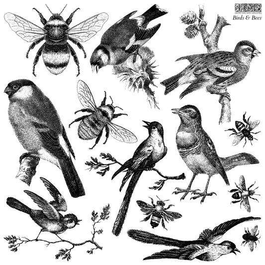 Birds & Bees - IOD Decor Stamp