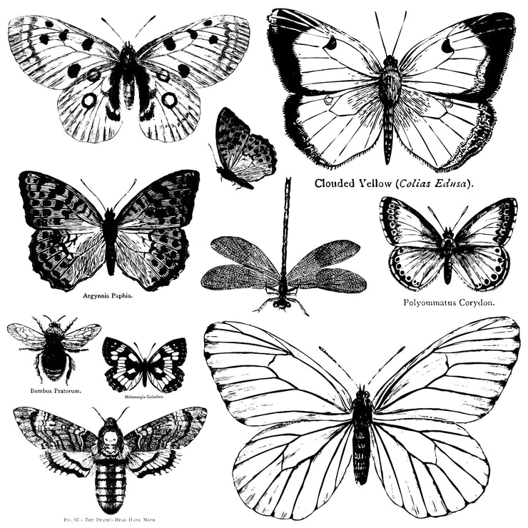 Butterflies - IOD Decor Stamp