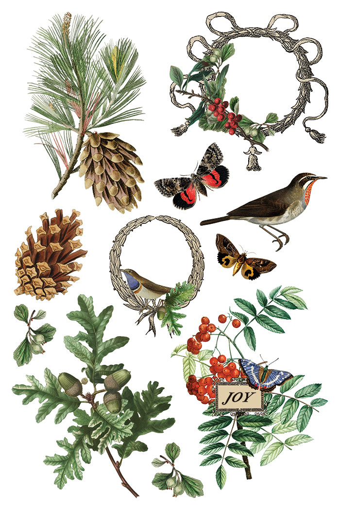 Winter Botonist - IOD Decor Transfer 8x12- 2025 Holiday