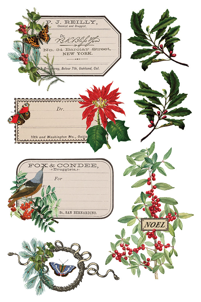 Winter Botonist - IOD Decor Transfer 8x12- 2025 Holiday