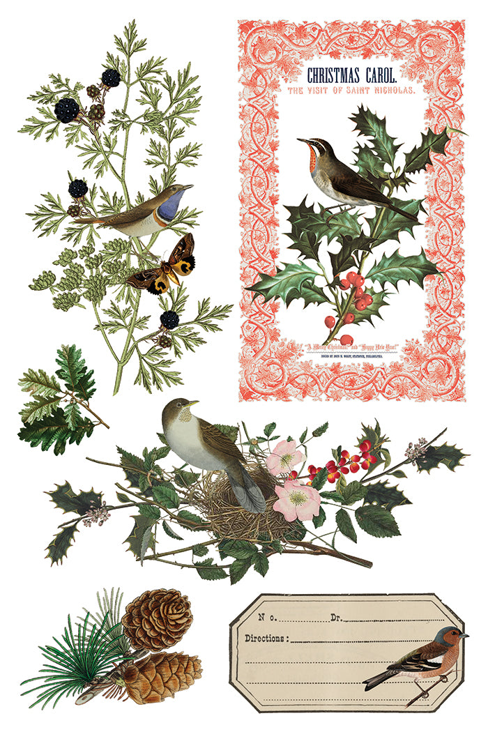 Winter Botonist - IOD Decor Transfer 8x12- 2025 Holiday