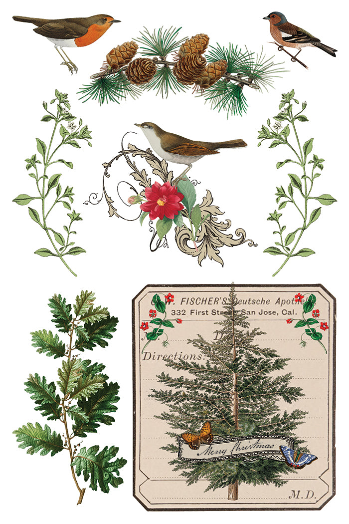 Winter Botonist - IOD Decor Transfer 8x12- 2025 Holiday