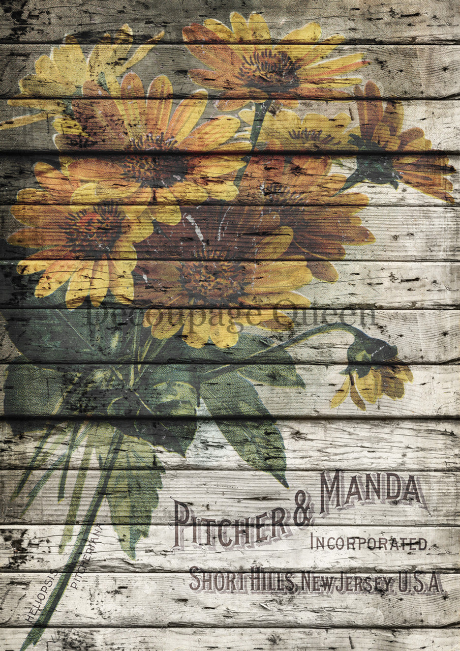Pitcher and Manda- Decoupage Queen Rice Paper