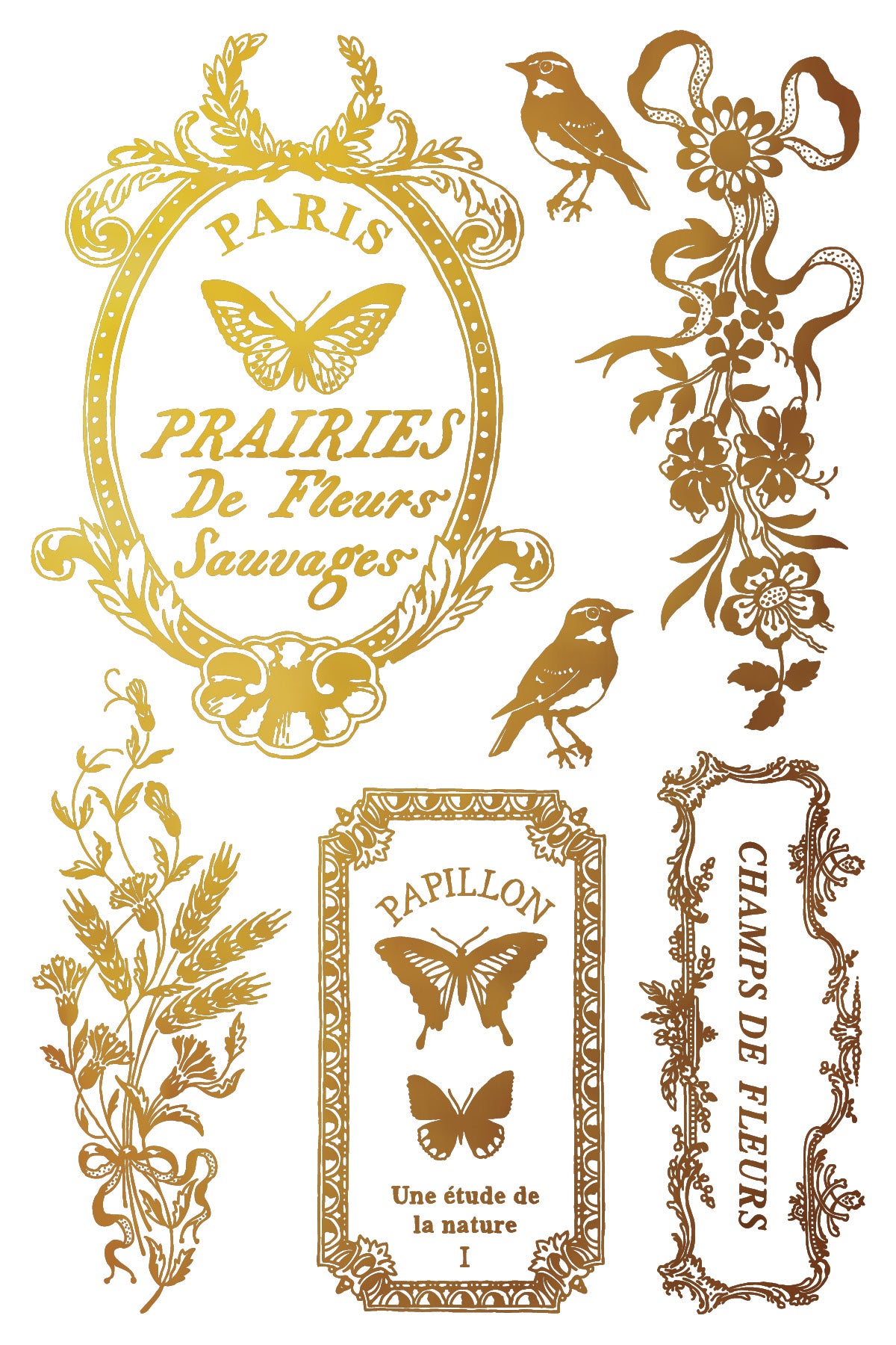 Papillon - IOD Foil Transfer 8x12  - 2026 Spring