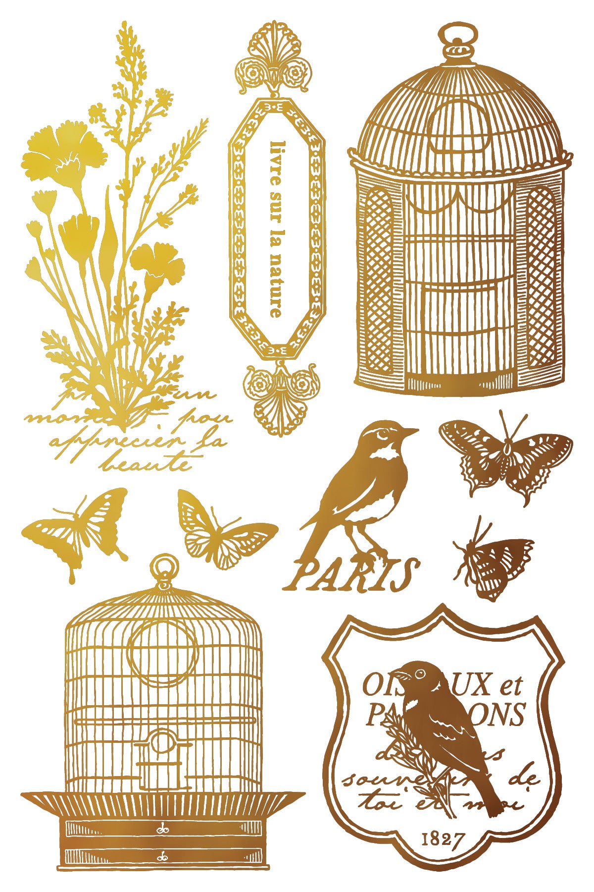 Papillon - IOD Foil Transfer 8x12  - 2026 Spring