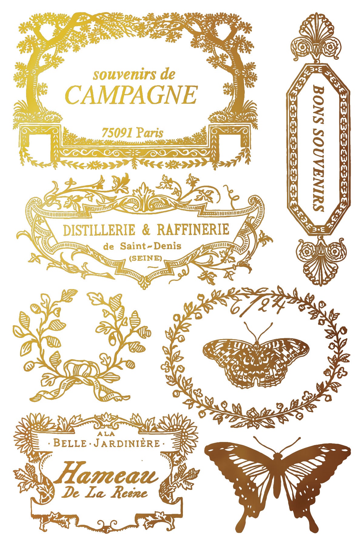 Papillon - IOD Foil Transfer 8x12  - 2026 Spring