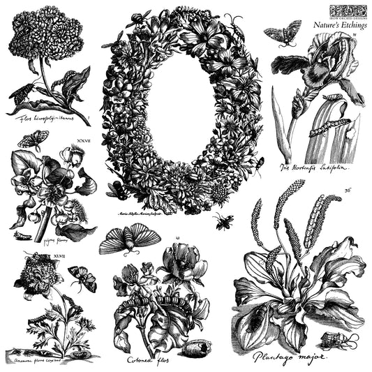 Nature's Etchings - IOD Stamps 12x12 2 sheets - 2026 Summer