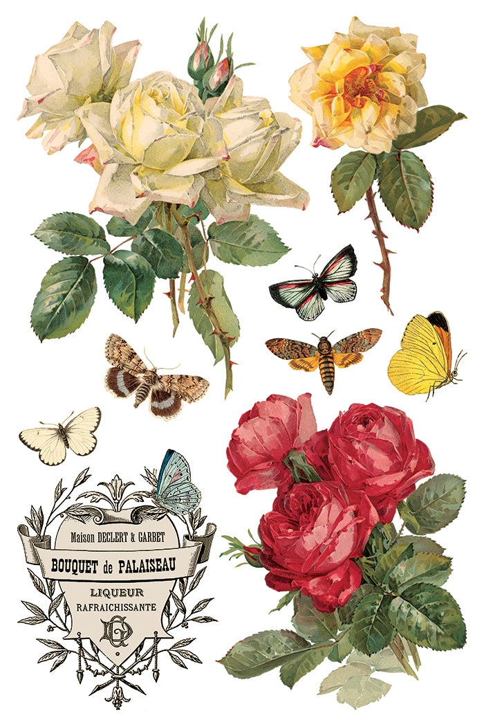 By Any Other Name - IOD Transfer 8x12 - 2026 Spring