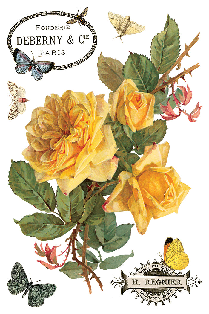 By Any Other Name - IOD Transfer 8x12 - 2026 Spring