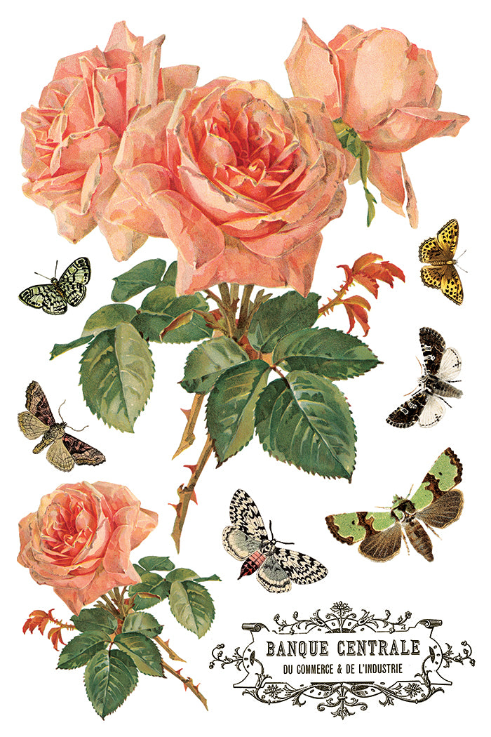 By Any Other Name - IOD Transfer 8x12 - 2026 Spring