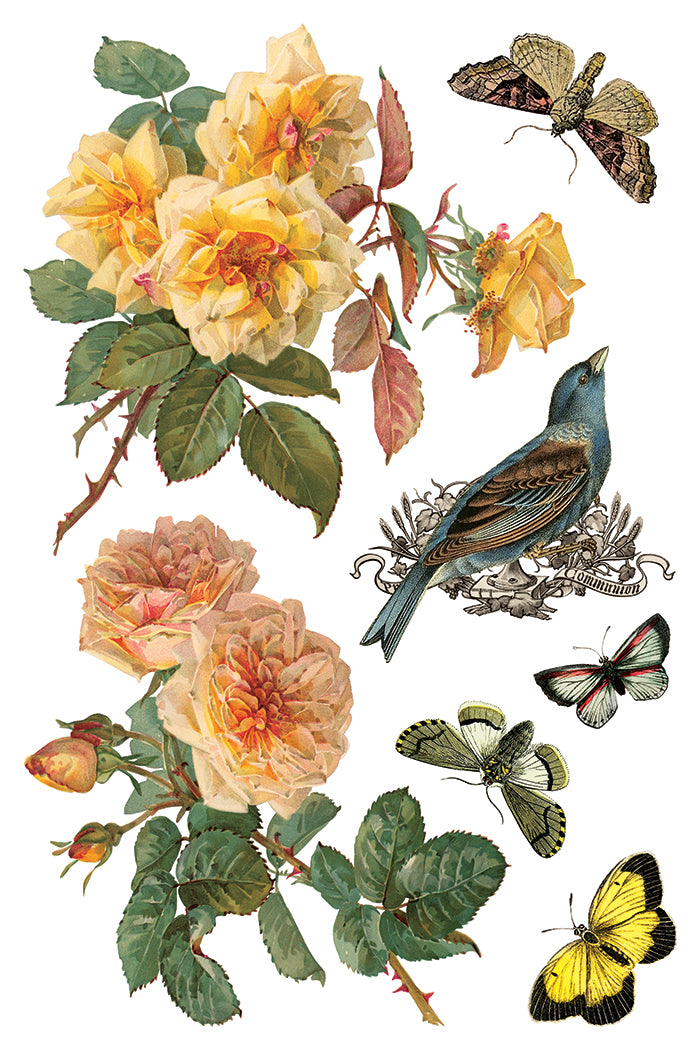 By Any Other Name - IOD Transfer 8x12 - 2026 Spring