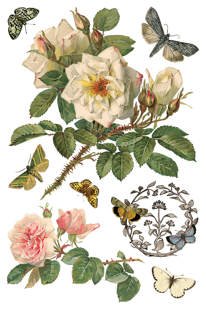 By Any Other Name - IOD Transfer 8x12 - 2026 Spring