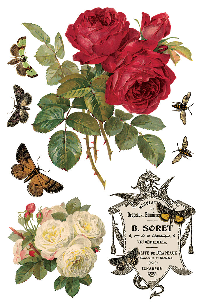 By Any Other Name - IOD Transfer 8x12 - 2026 Spring