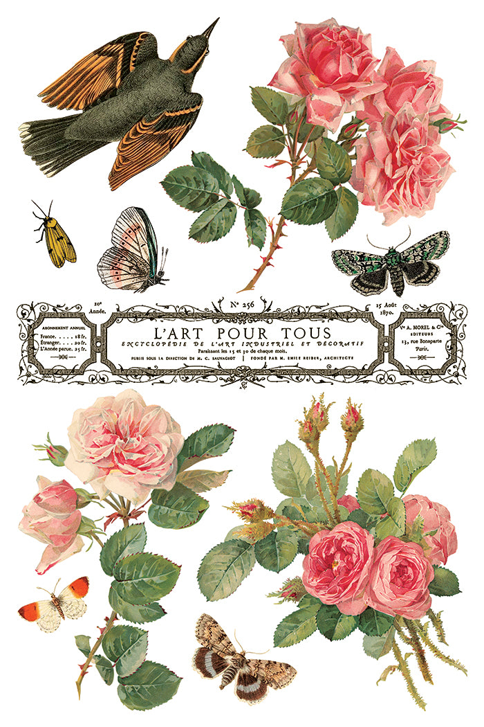 By Any Other Name - IOD Transfer 8x12 - 2026 Spring