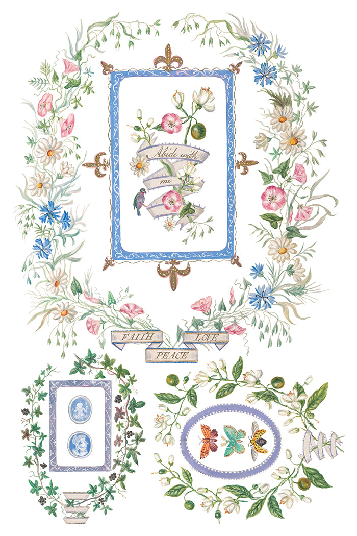 Emily Clare - IOD Transfer 8x12 - 2026 Spring