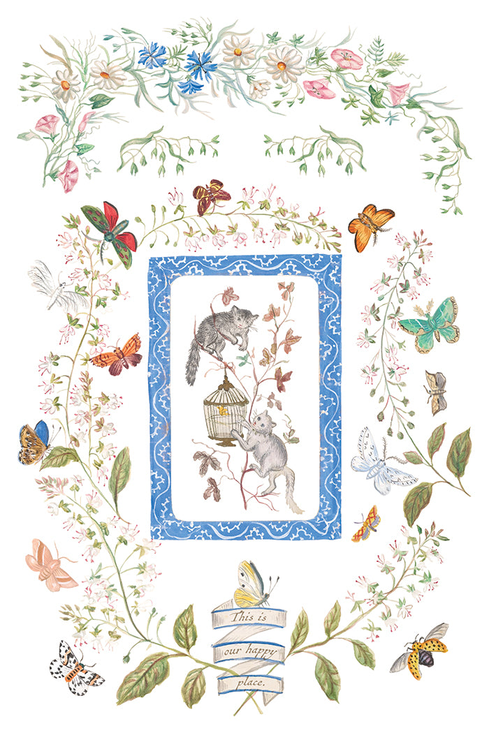 Emily Clare - IOD Transfer 8x12 - 2026 Spring