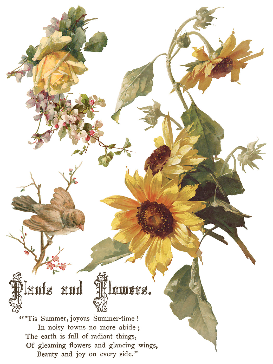 Flowers by the Poets - IOD Transfers 12x16 - 2026 Summer