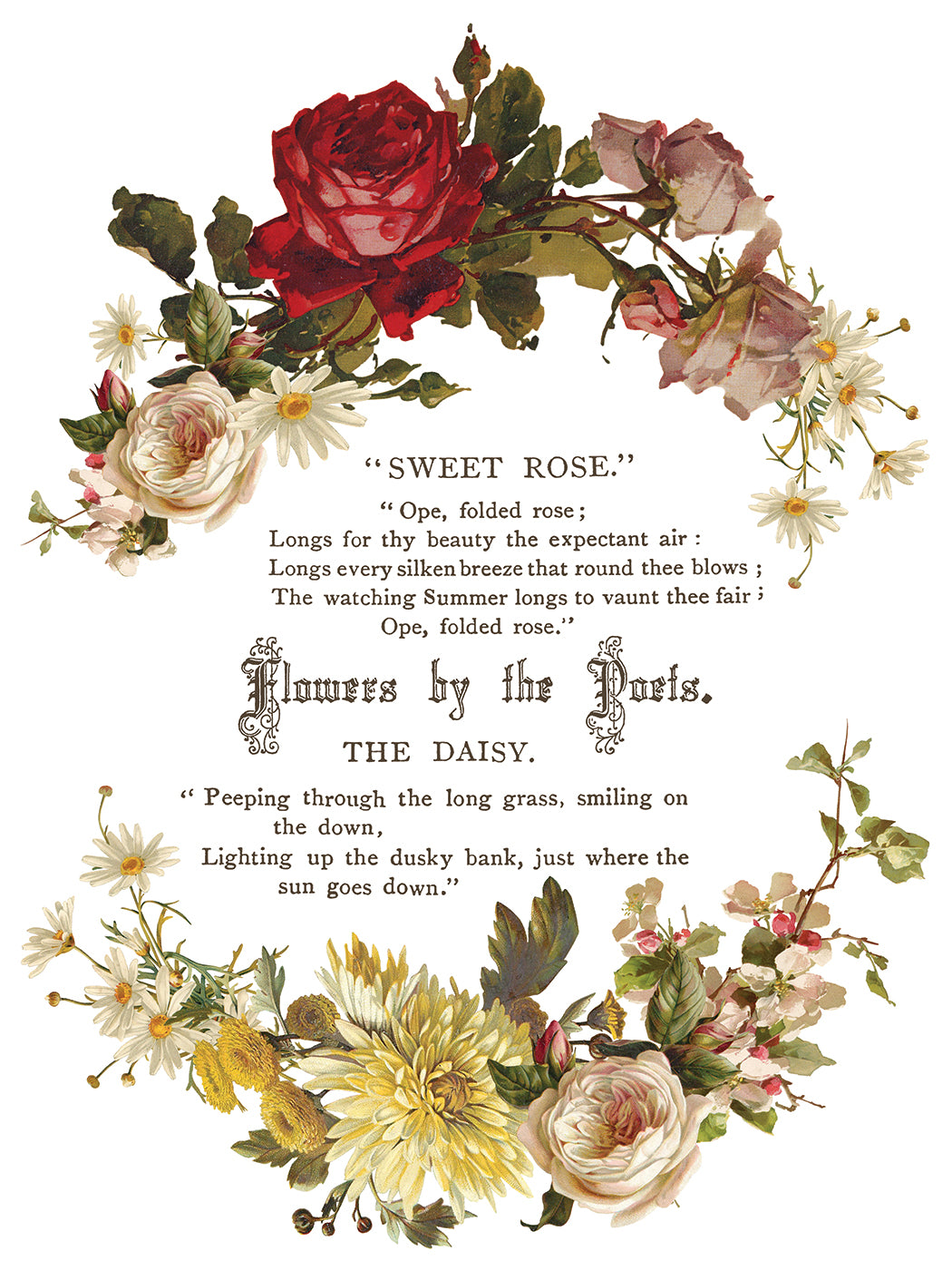 Flowers by the Poets - IOD Transfers 12x16 - 2026 Summer