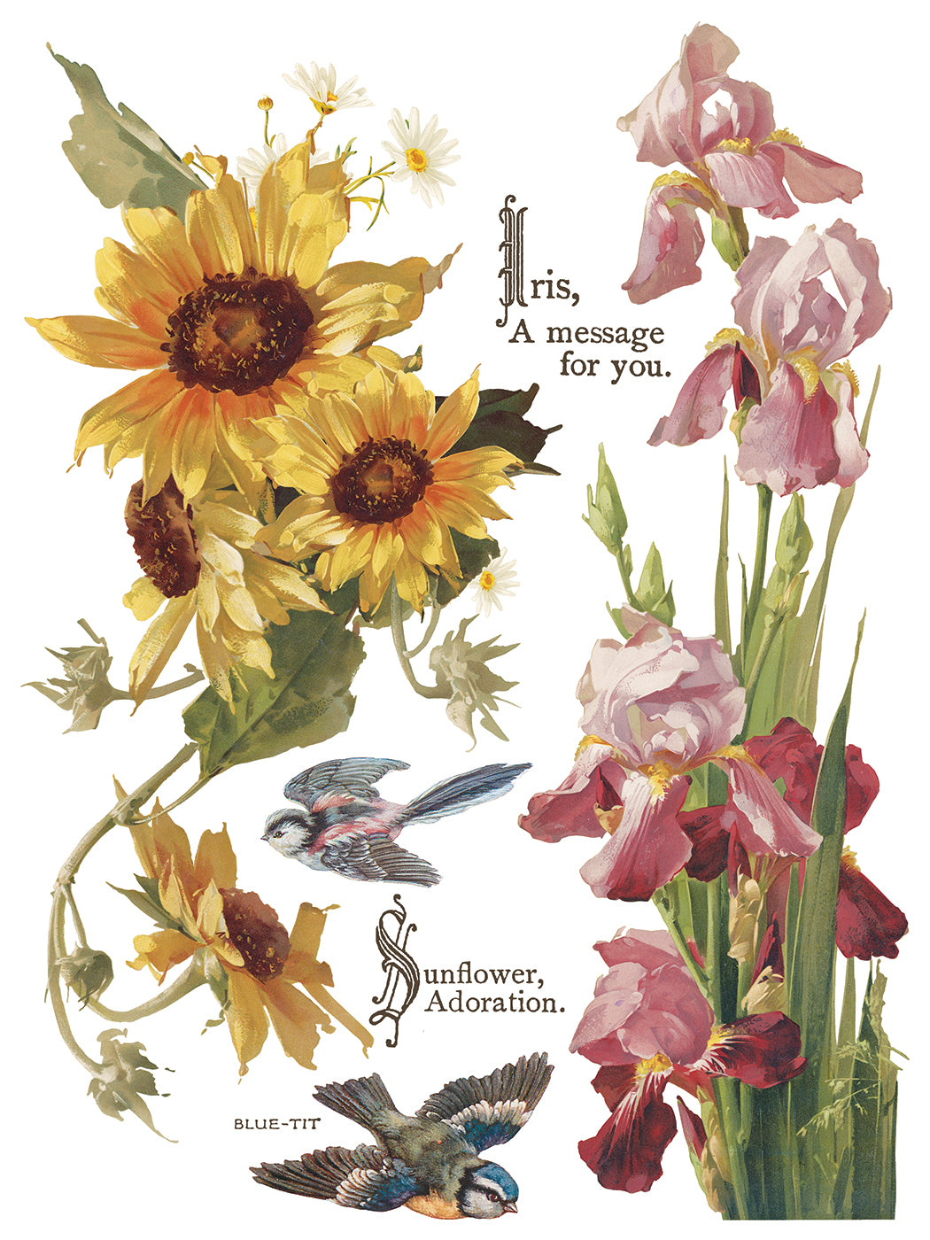 Flowers by the Poets - IOD Transfers 12x16 - 2026 Summer