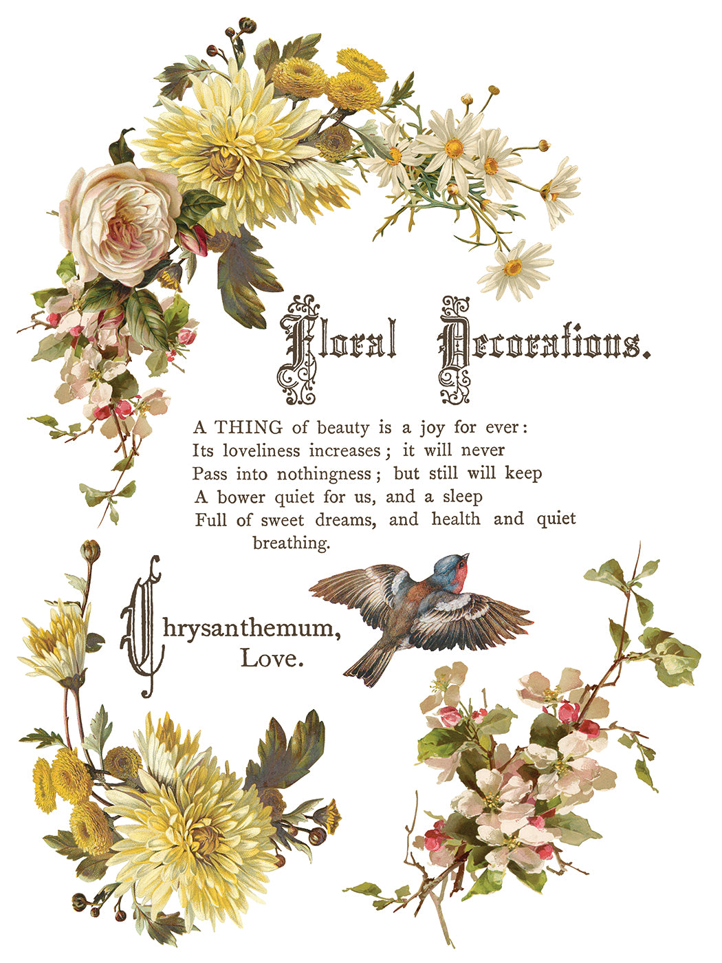 Flowers by the Poets - IOD Transfers 12x16 - 2026 Summer