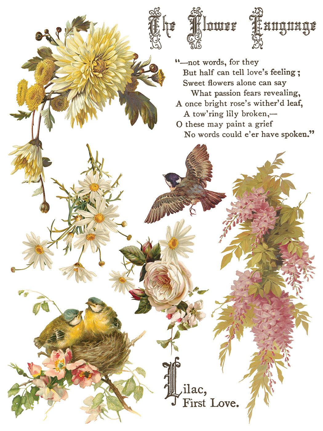 Flowers by the Poets - IOD Transfers 12x16 - 2026 Summer