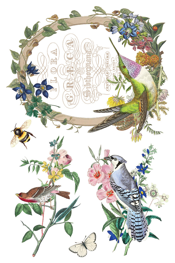 Flora Greca - IOD Transfer 8x12 - 2026 Spring