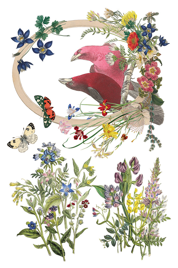Flora Greca - IOD Transfer 8x12 - 2026 Spring