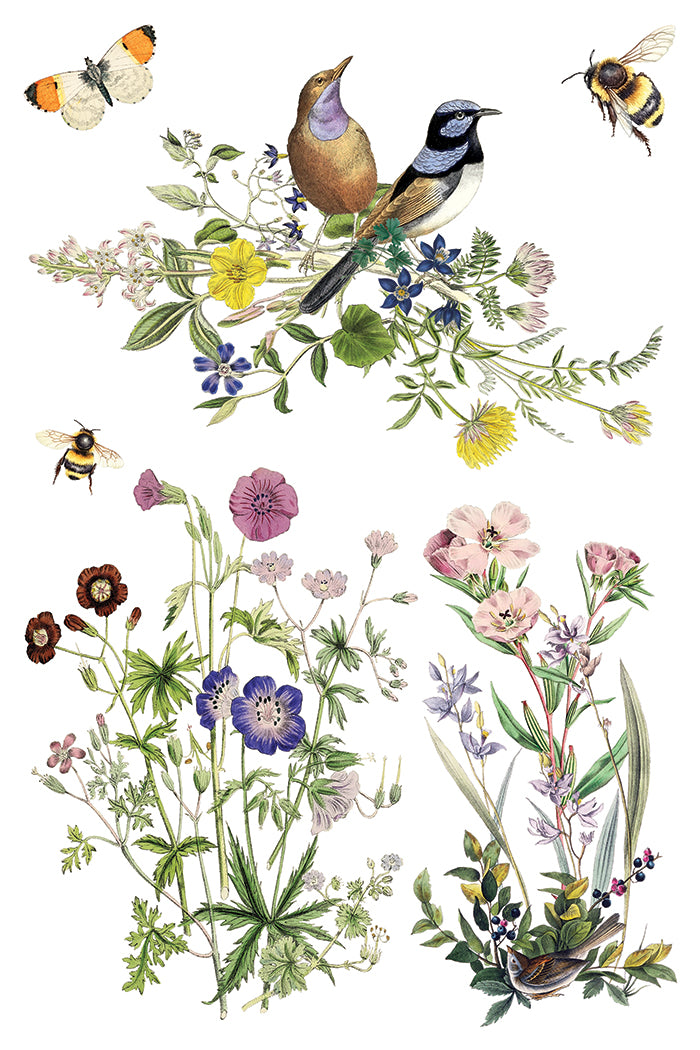 Flora Greca - IOD Transfer 8x12 - 2026 Spring