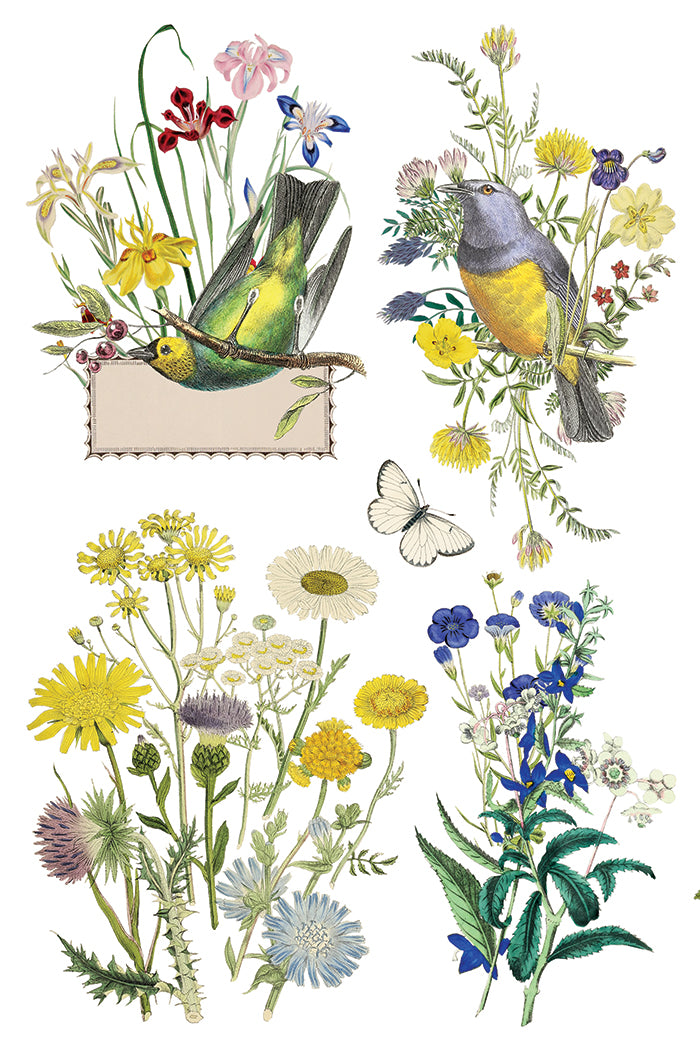 Flora Greca - IOD Transfer 8x12 - 2026 Spring
