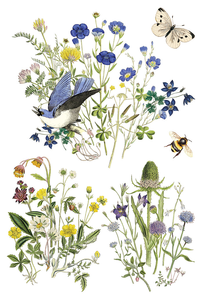 Flora Greca - IOD Transfer 8x12 - 2026 Spring