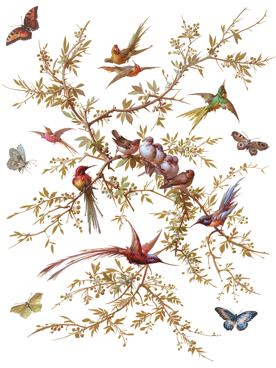 Madeline - IOD Transfer 12x16  - 2026 Spring