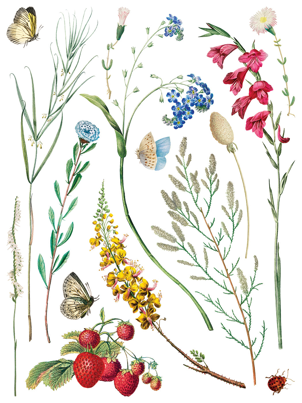 Marcha des Fleurs - IOD Transfers 12x16 - 2026 Summer