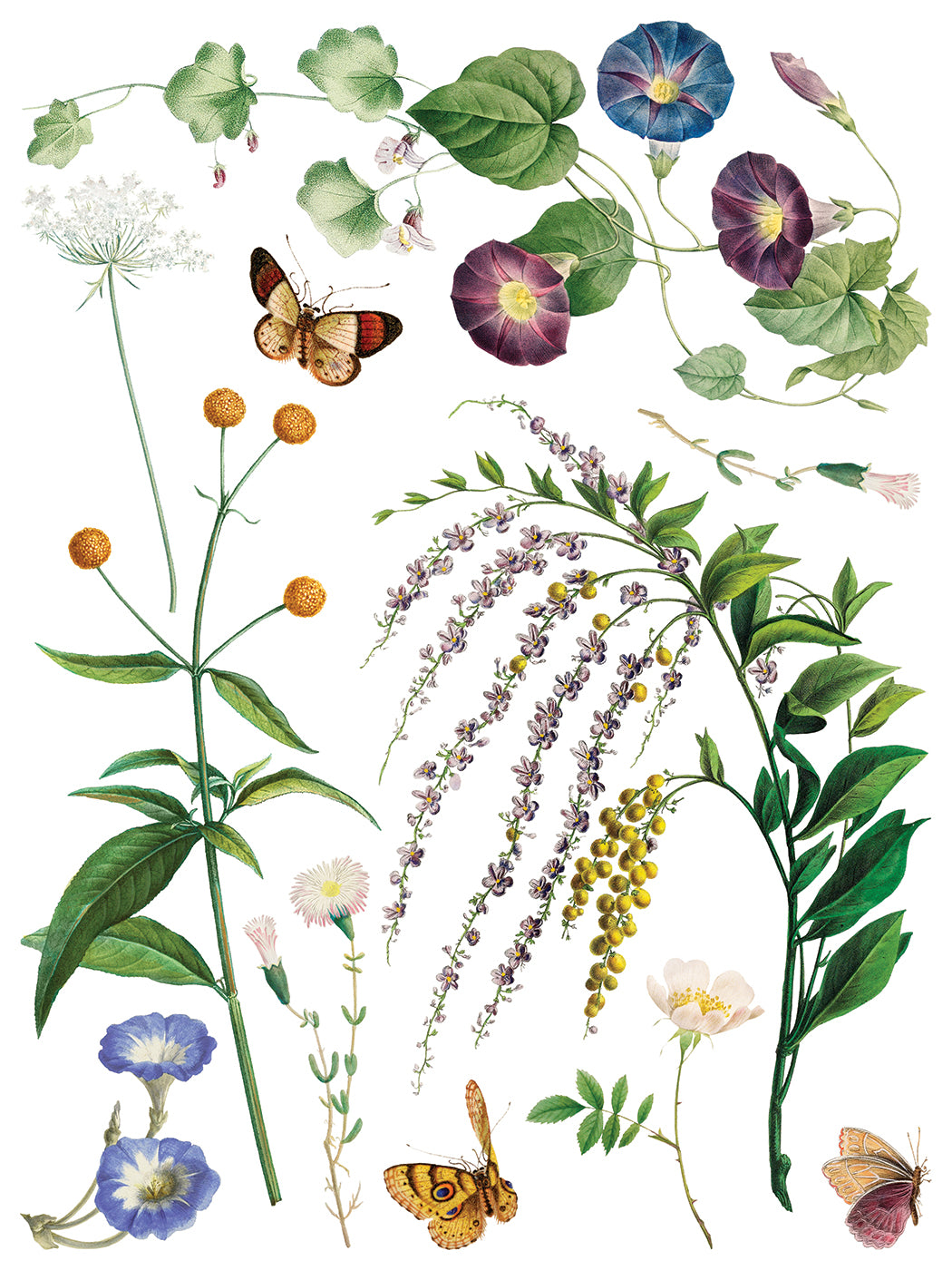 Marcha des Fleurs - IOD Transfers 12x16 - 2026 Summer