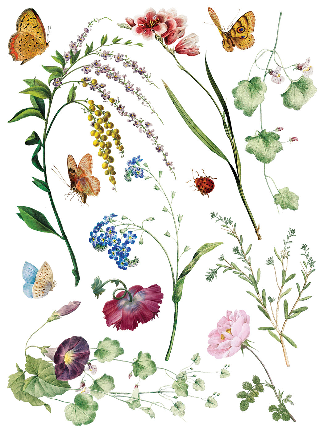 Marcha des Fleurs - IOD Transfers 12x16 - 2026 Summer