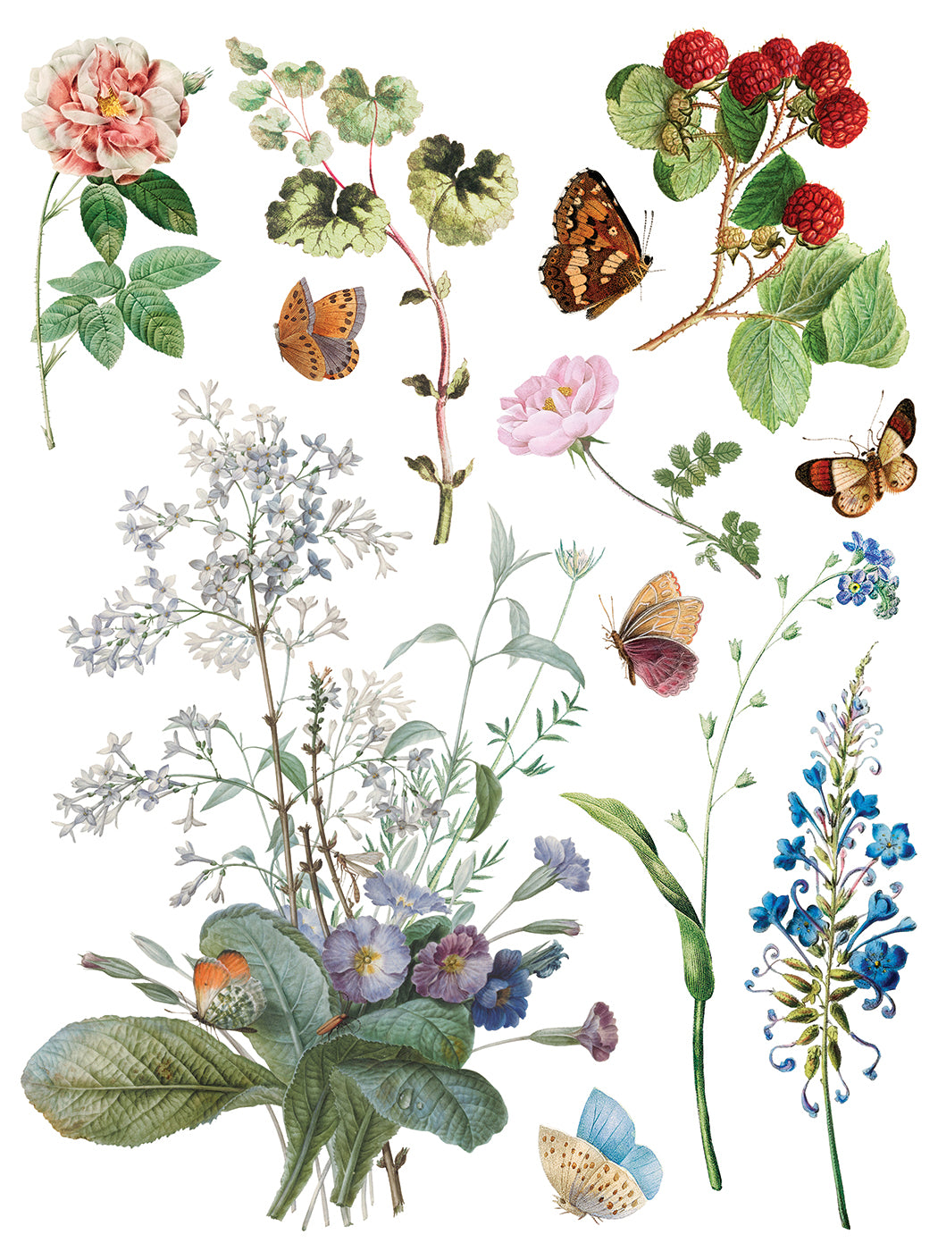 Marcha des Fleurs - IOD Transfers 12x16 - 2026 Summer