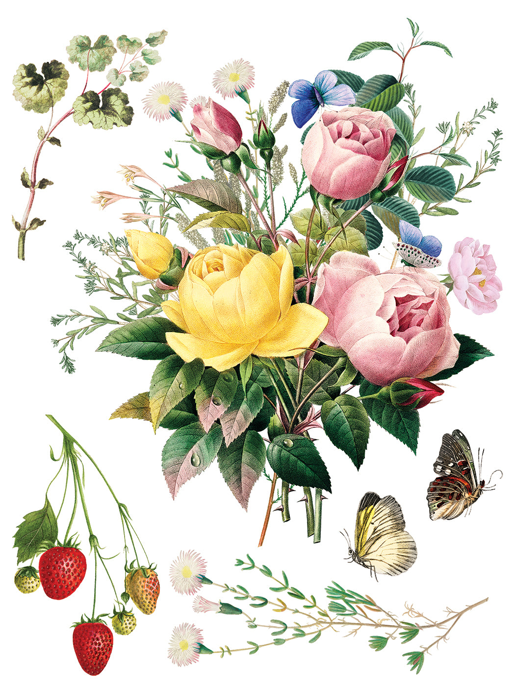 Marcha des Fleurs - IOD Transfers 12x16 - 2026 Summer